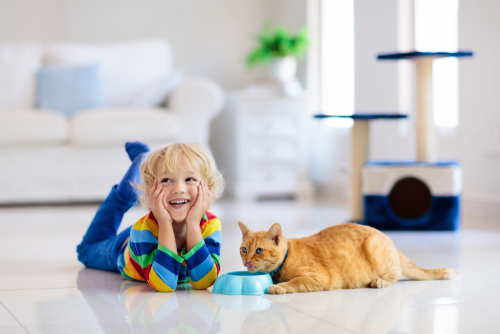  What should I do before buying a condo as a pet owner
